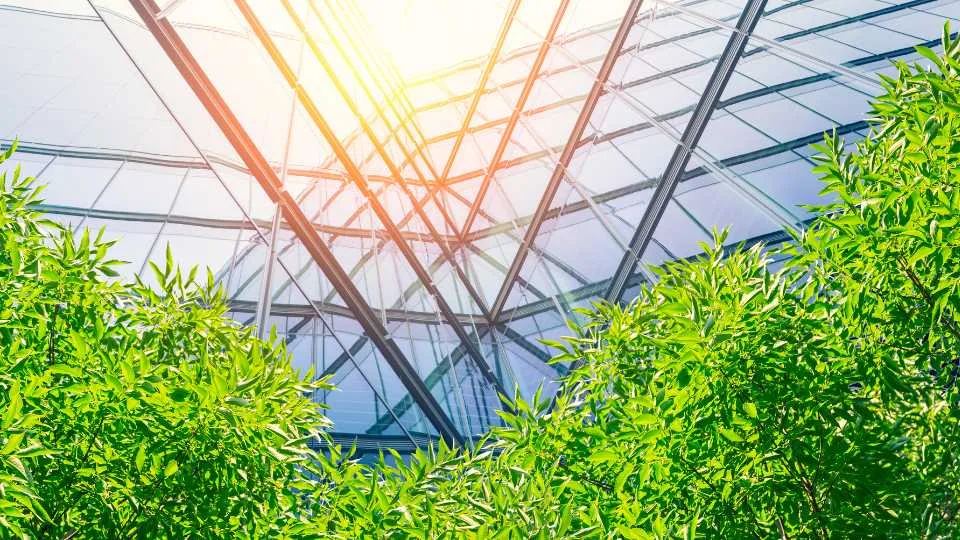 Green Architecture